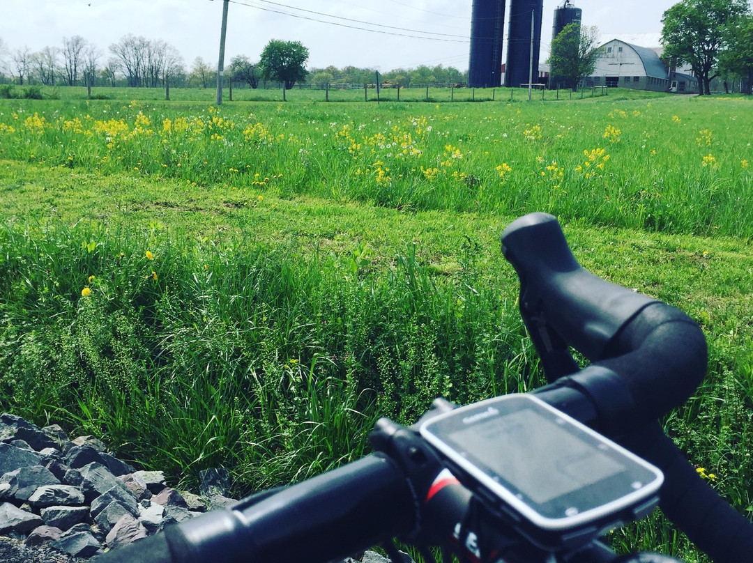 Bear Bicycle Touring Co景点图片