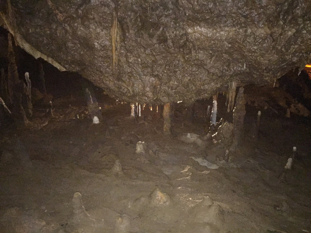 Thanasis Kalofolias VIP Transport-Elliniko必去景点