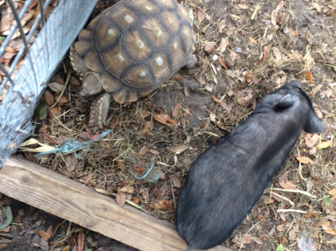 Happy Pony World-Southwest Ranches必去景点