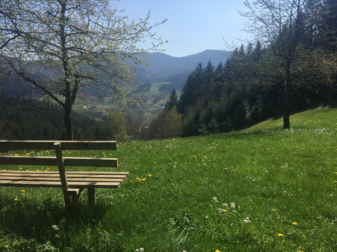 Genießerpfad - Peterstaler Schwarzwaldsteig-Bad Peterstal-Griesbach必去景点