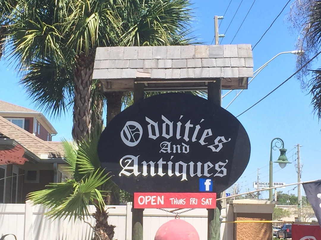 Oddities & Antiques-克利尔沃特必去景点
