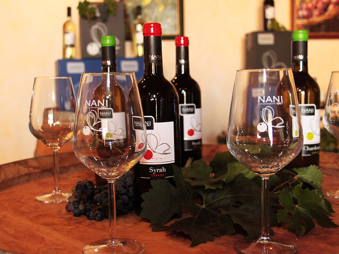 Cantina Nani 1967 - Tenuta Castello di Rubaro景点图片