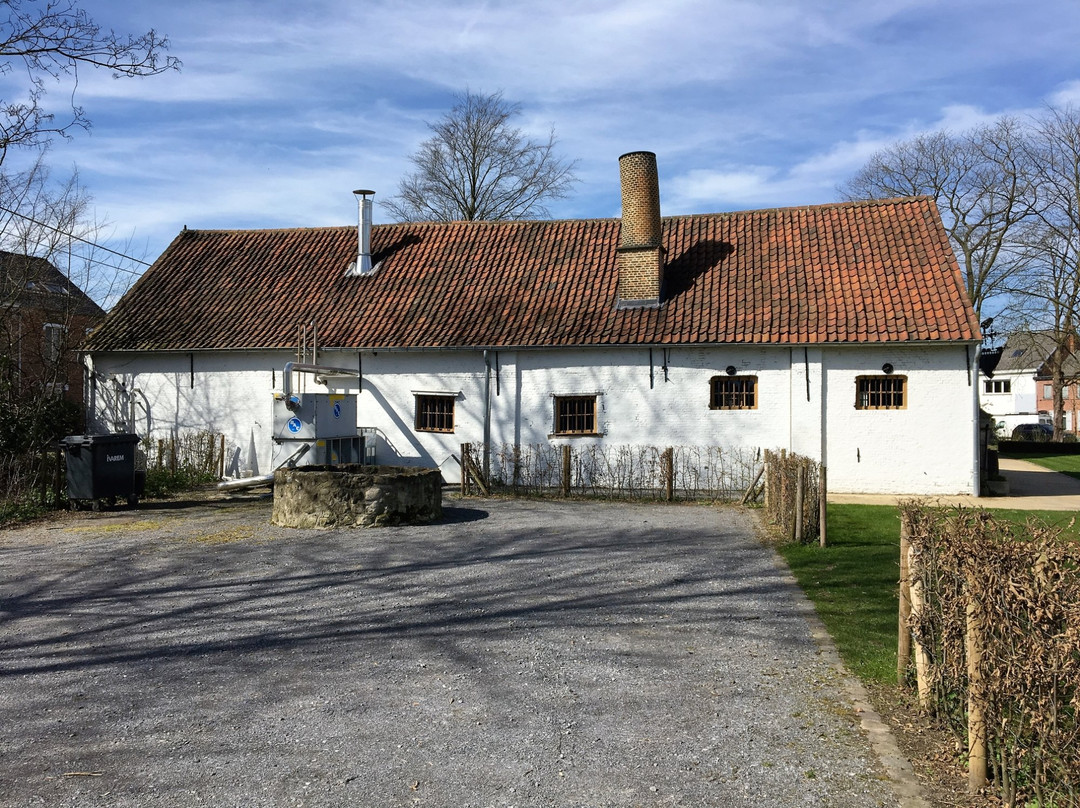 Distillery De Molenberg景点图片