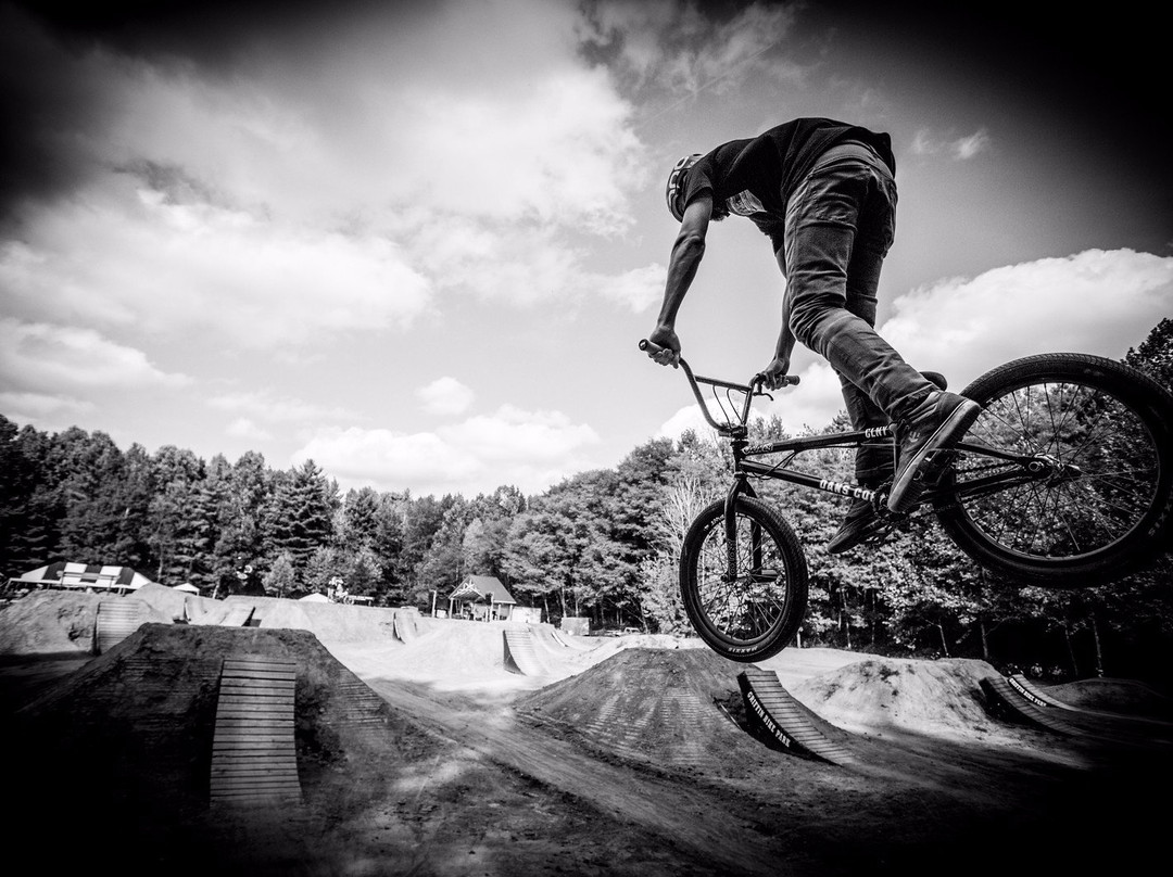 Griffin Bike Park-特雷霍特必去景点