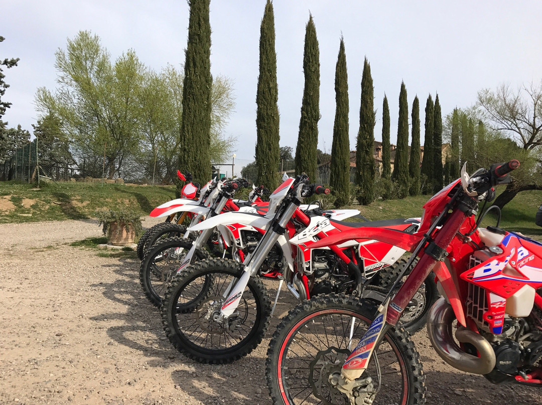 Centro Equestre Viamaggio-Murlo必去景点