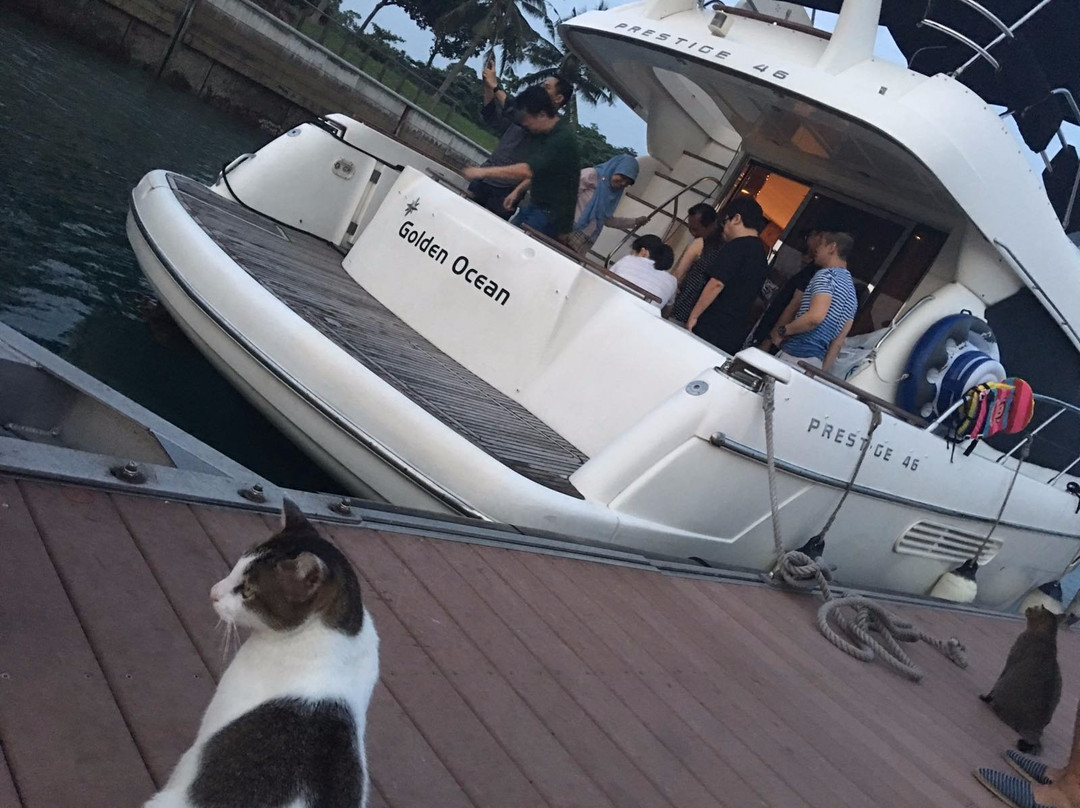 BOB Marine Yacht Charters Singapore景点图片