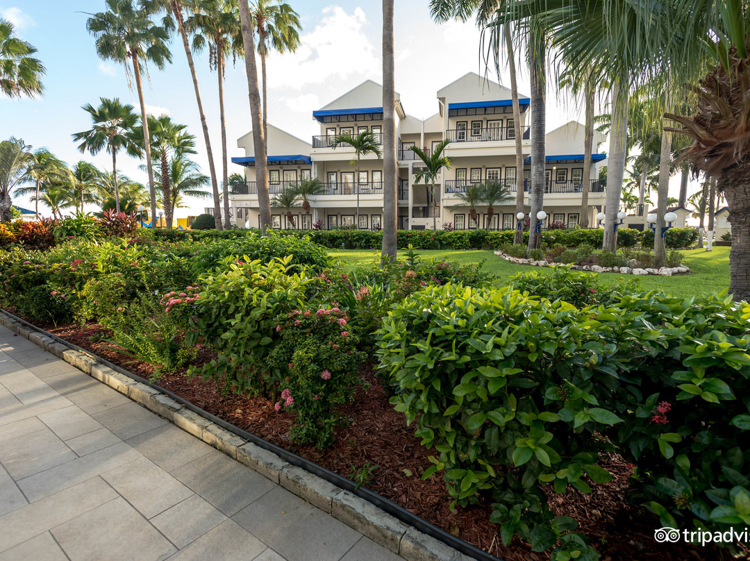 弗拉明戈海滩度假酒店 (Pelican Key) - Hilton Vacation Club Flamingo Beach St