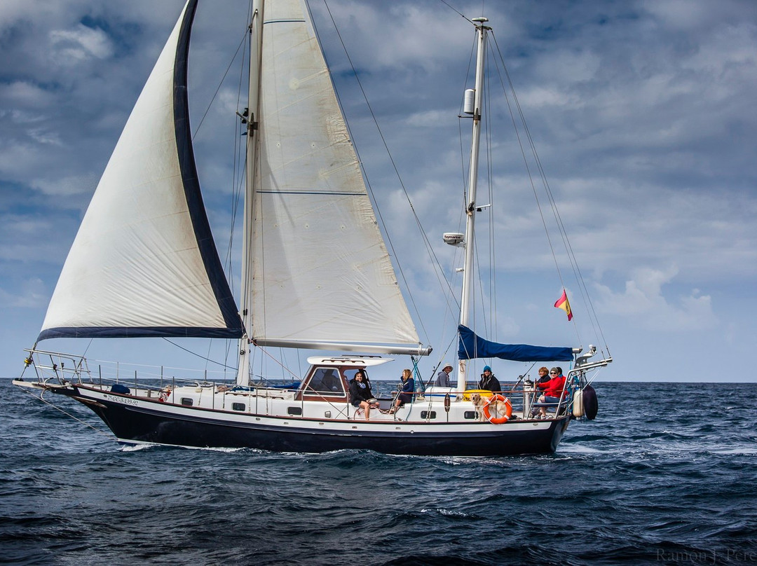 Velero Vientos del Sur-卡拉罗港口必去景点
