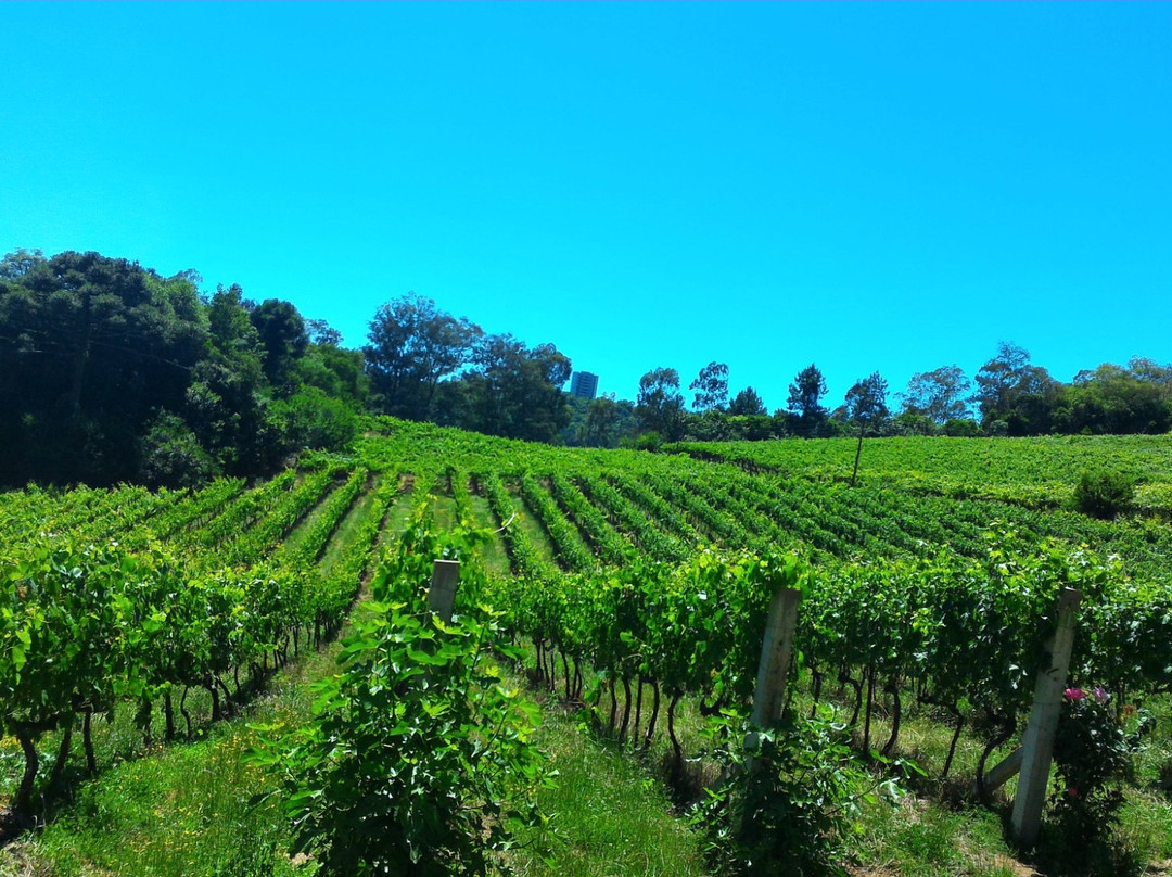 Vitóriatur-格拉玛多必去景点