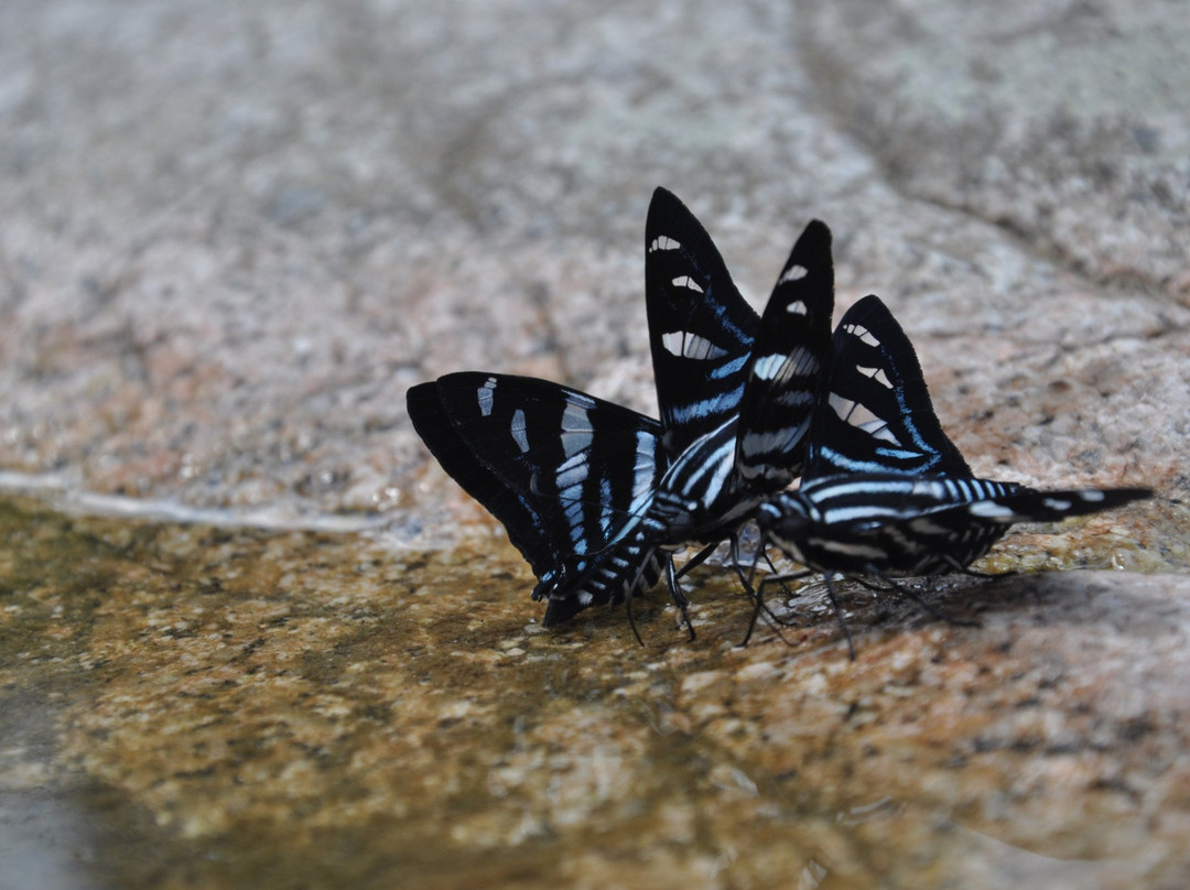 Laguna Azul-Tena必去景点
