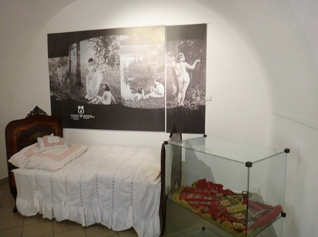 Museum of Cieszyn景点图片