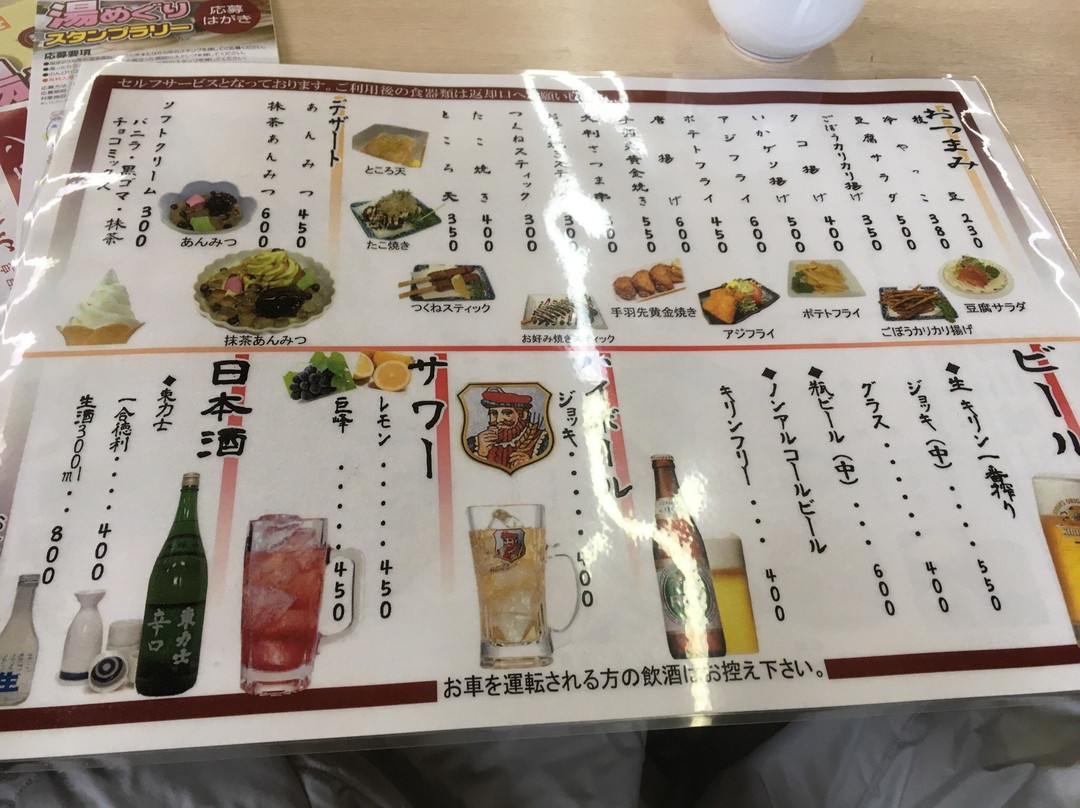 Karasuyamajo Hot Spring-那须乌山市必去景点