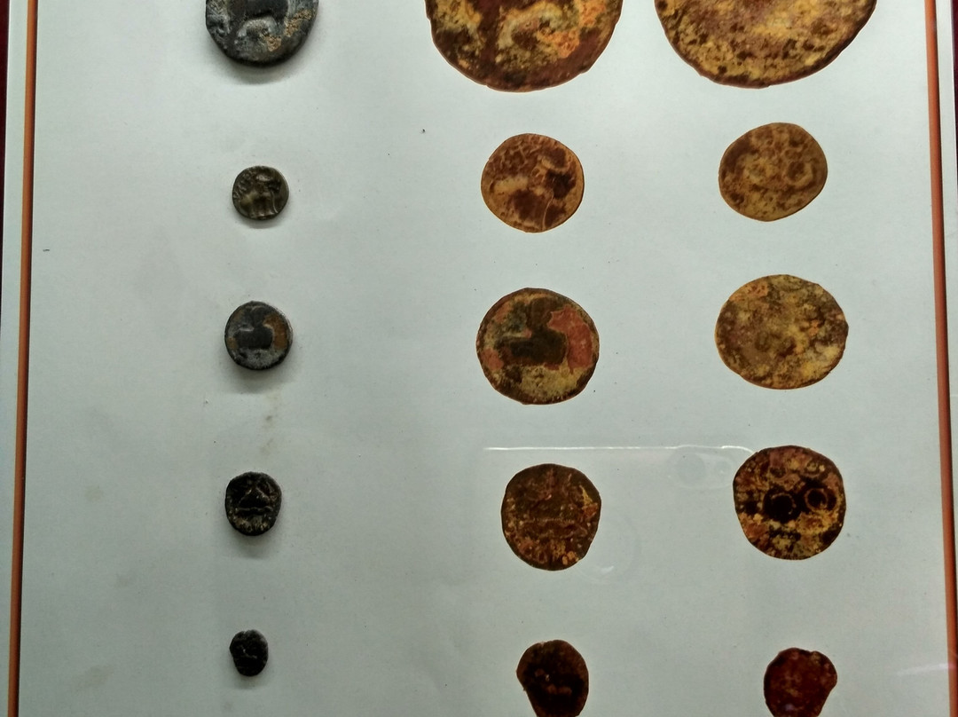 Rallabandi Subbarao Government Museum景点图片