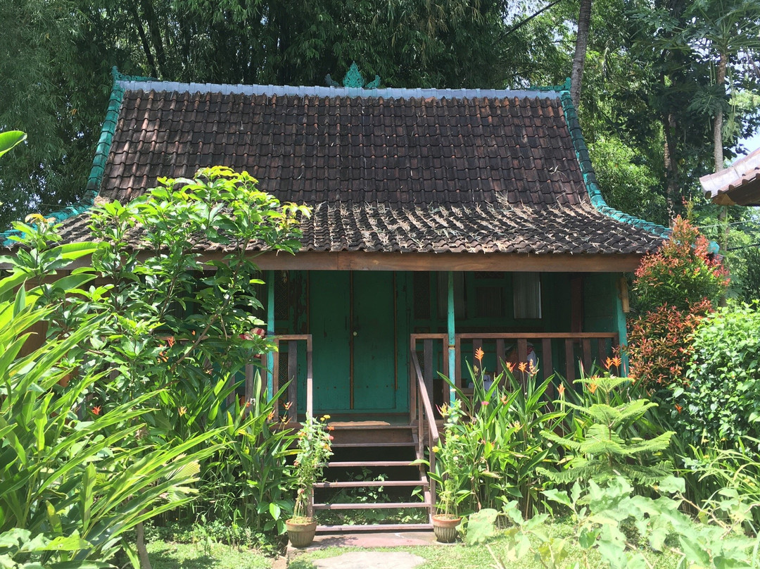 Amrtasiddhi Ayurvedic Center景点图片