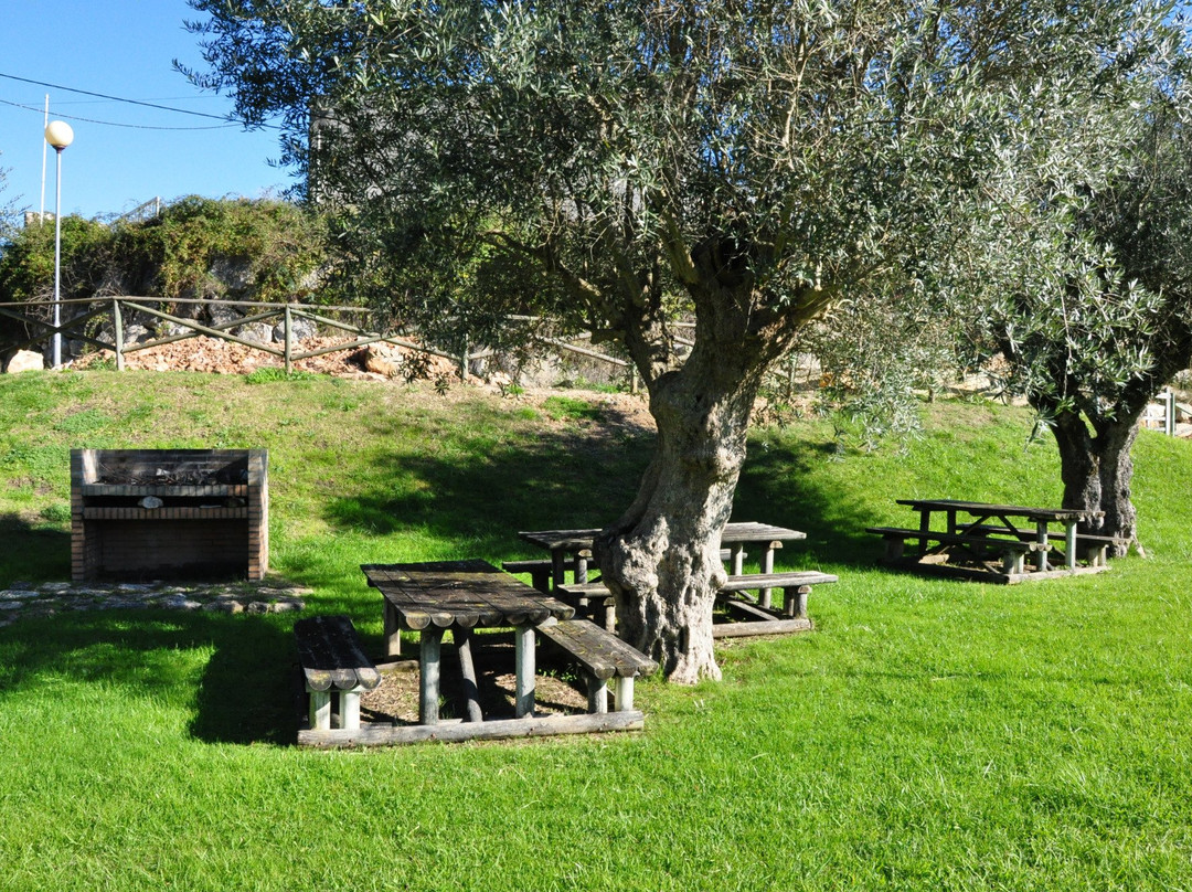 Parque de Merendas dos Fornos da Cal-Anca必去景点