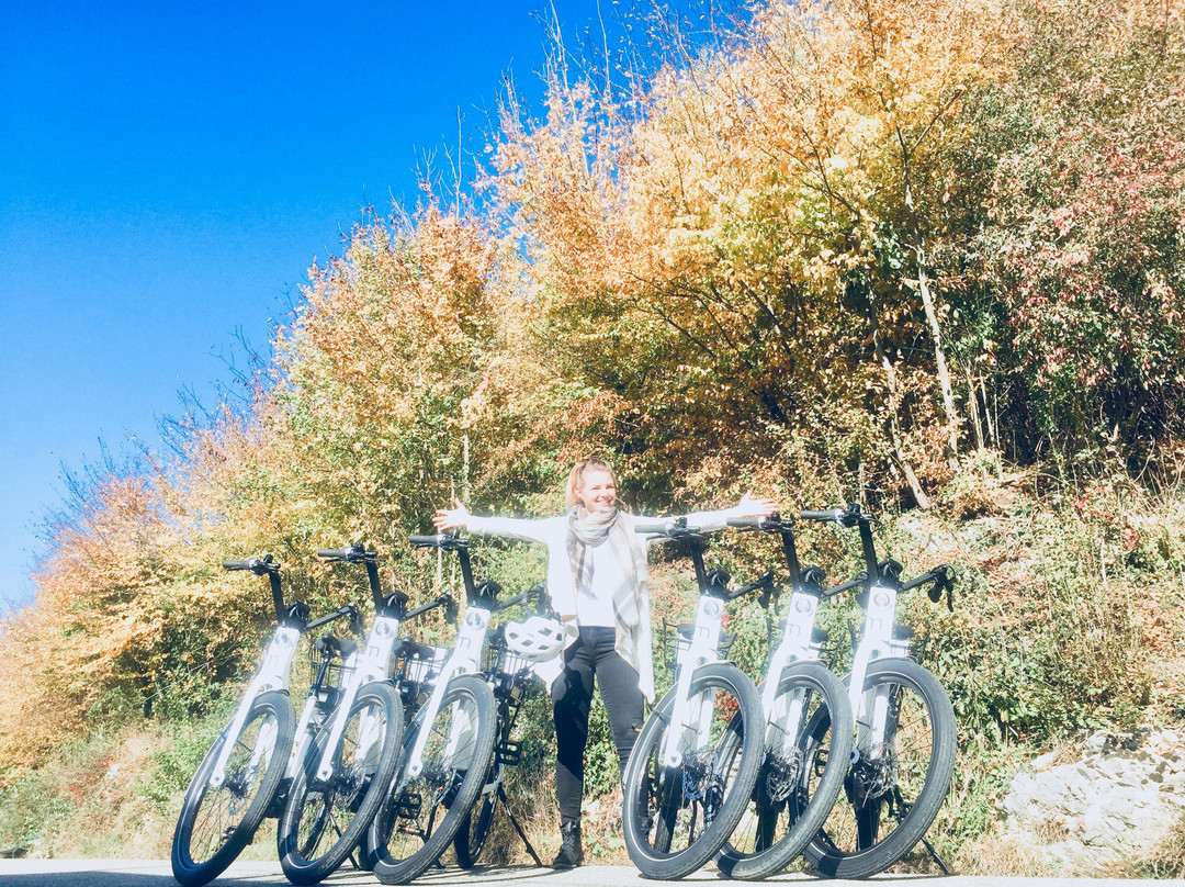 Bed Bike And Breakfast Olten主图