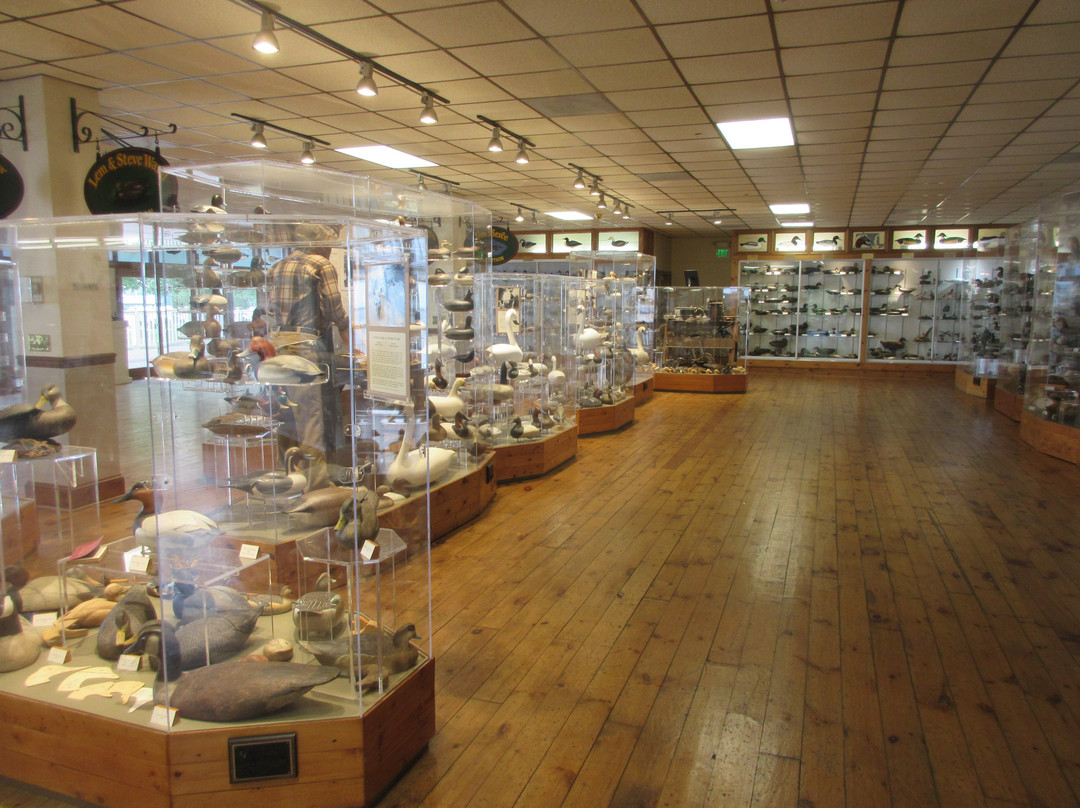 2023年11月Havre de Grace Decoy Museum景点攻略Havre de Grace Decoy Museum门票预订