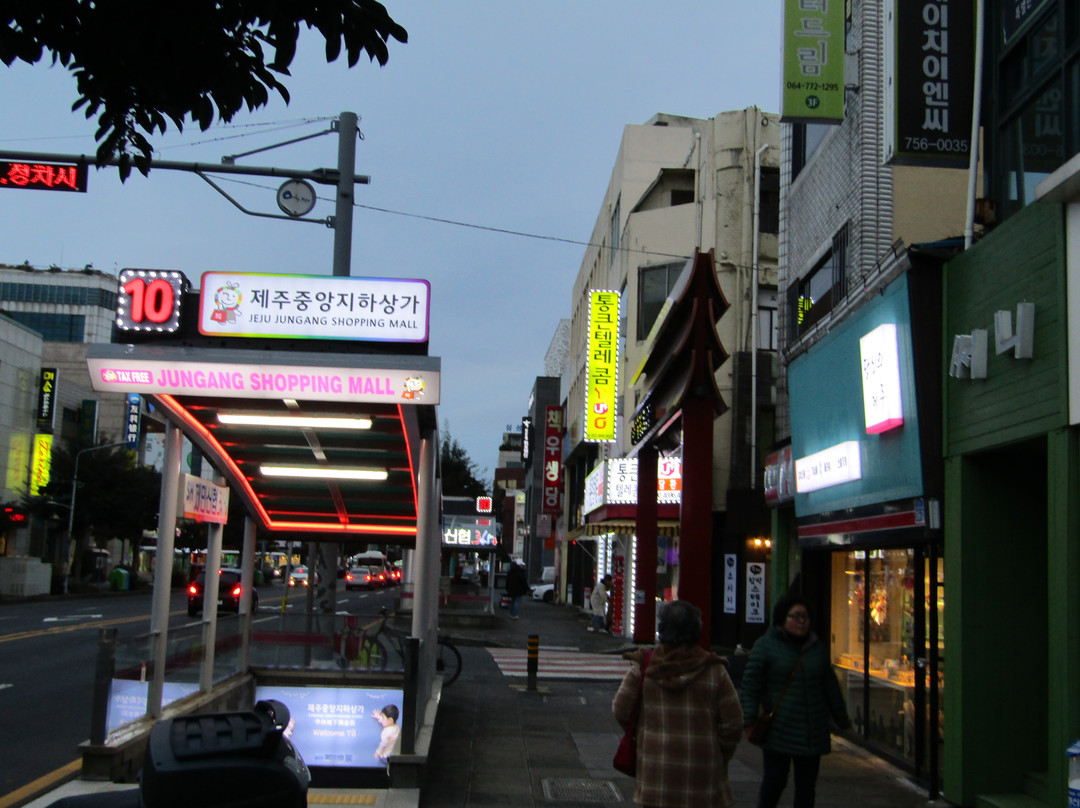 济州罗贝罗主图