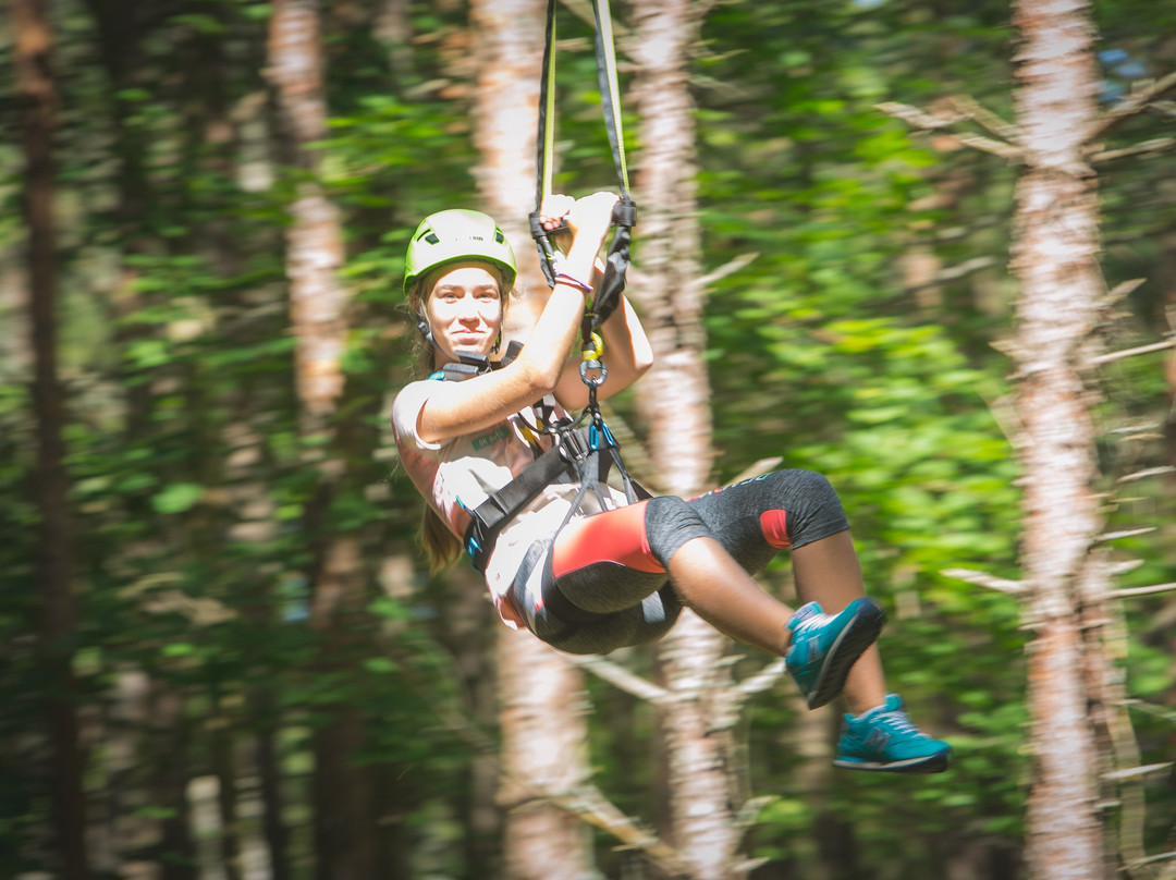 K-Pargi Kuressaare Adventure Park景点图片