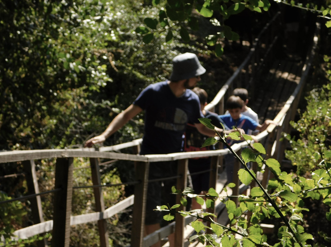 Casa Ecologica-Coltauco必去景点