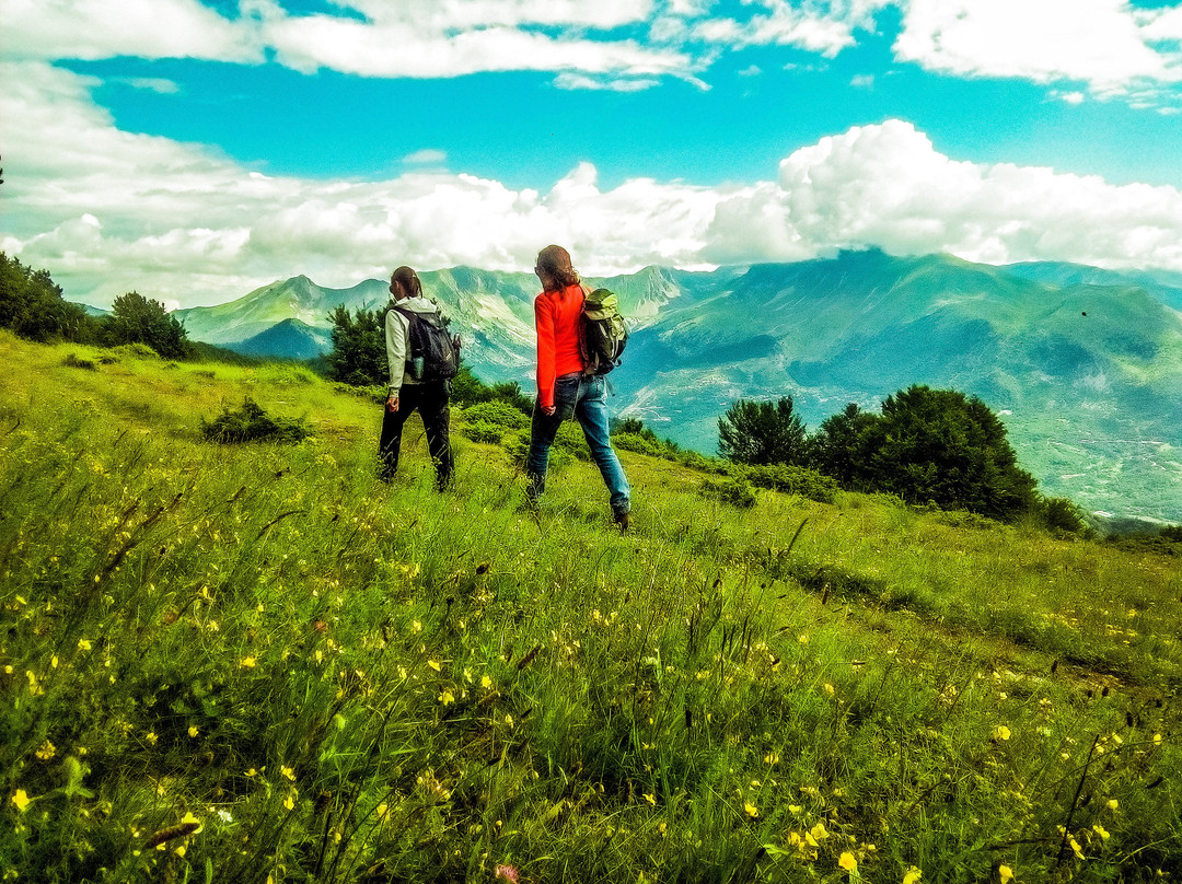 Go Active Tours, Metsovo-迈措沃必去景点