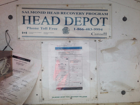 Little Qualicum River Fish Hatchery-魁利克姆海滩必去景点