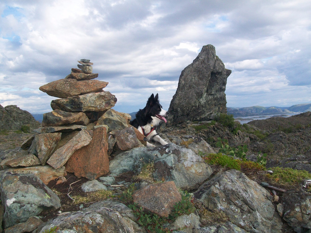 Leka Municipality旅游攻略图片