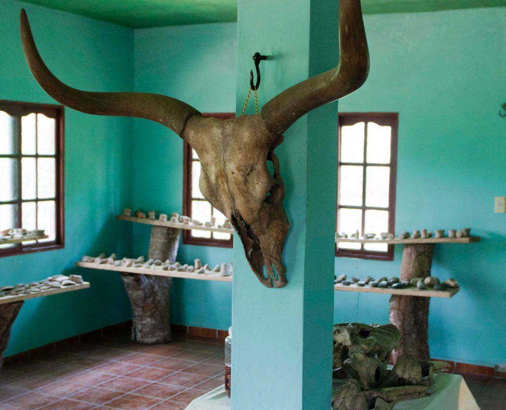 Bolivian Parrots Conservation-Trinidad必去景点