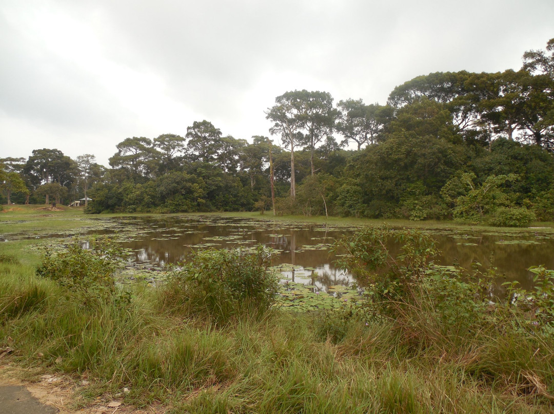 Dulahazra Safari Park景点图片