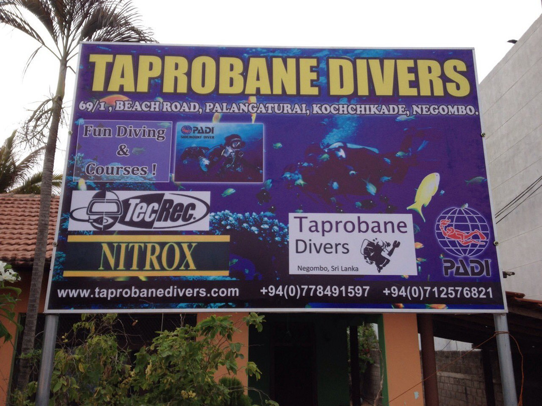 Taprobane Divers景点图片
