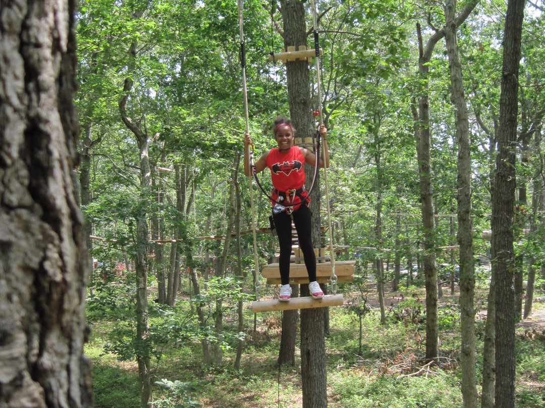 Tree To Tree Cape May景点图片