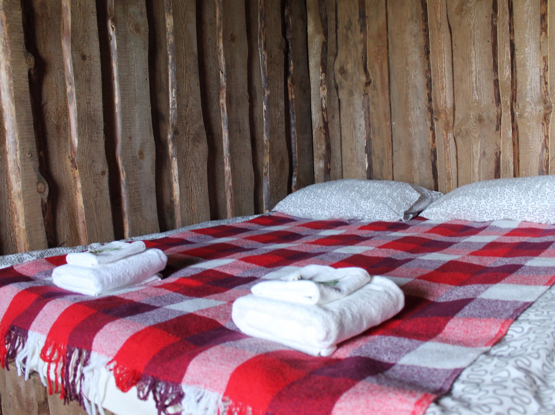 Guest House Ryzhiy Lis主图