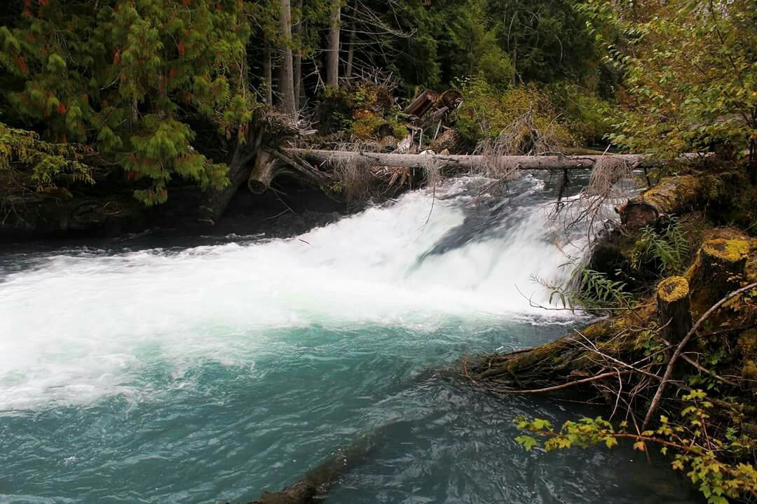 New Aiyansh旅游攻略图片