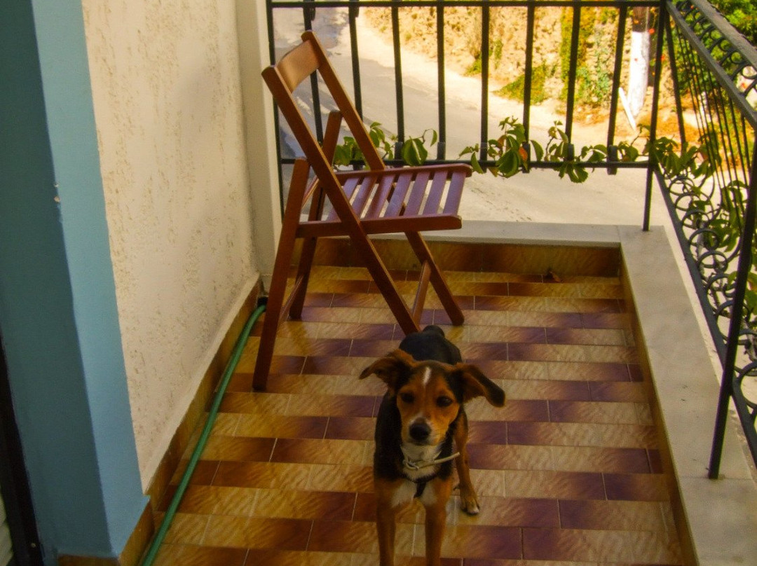 Argiro Apartments主图