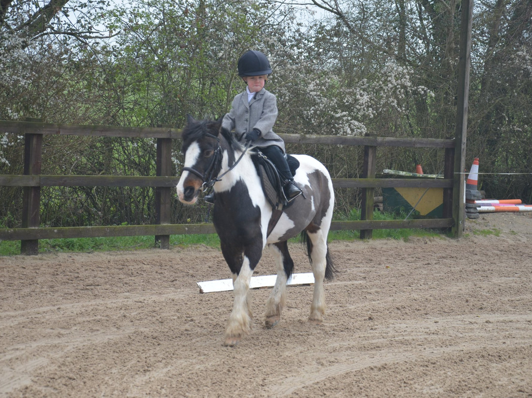 Hot to trot School of Equitation-Bunwell必去景点