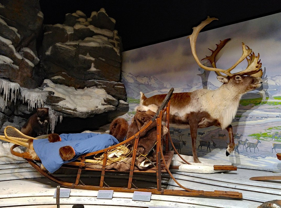 Northwest Arctic Heritage Center-Kotzebue必去景点