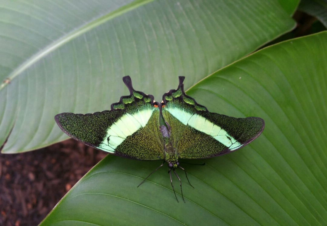 Dschungelhaus in Tirol-Terfens必去景点