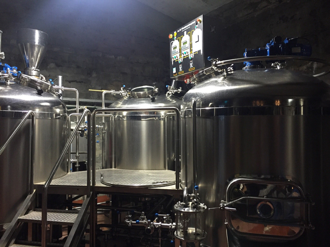 Grimsey Island旅游景点-Segull 67