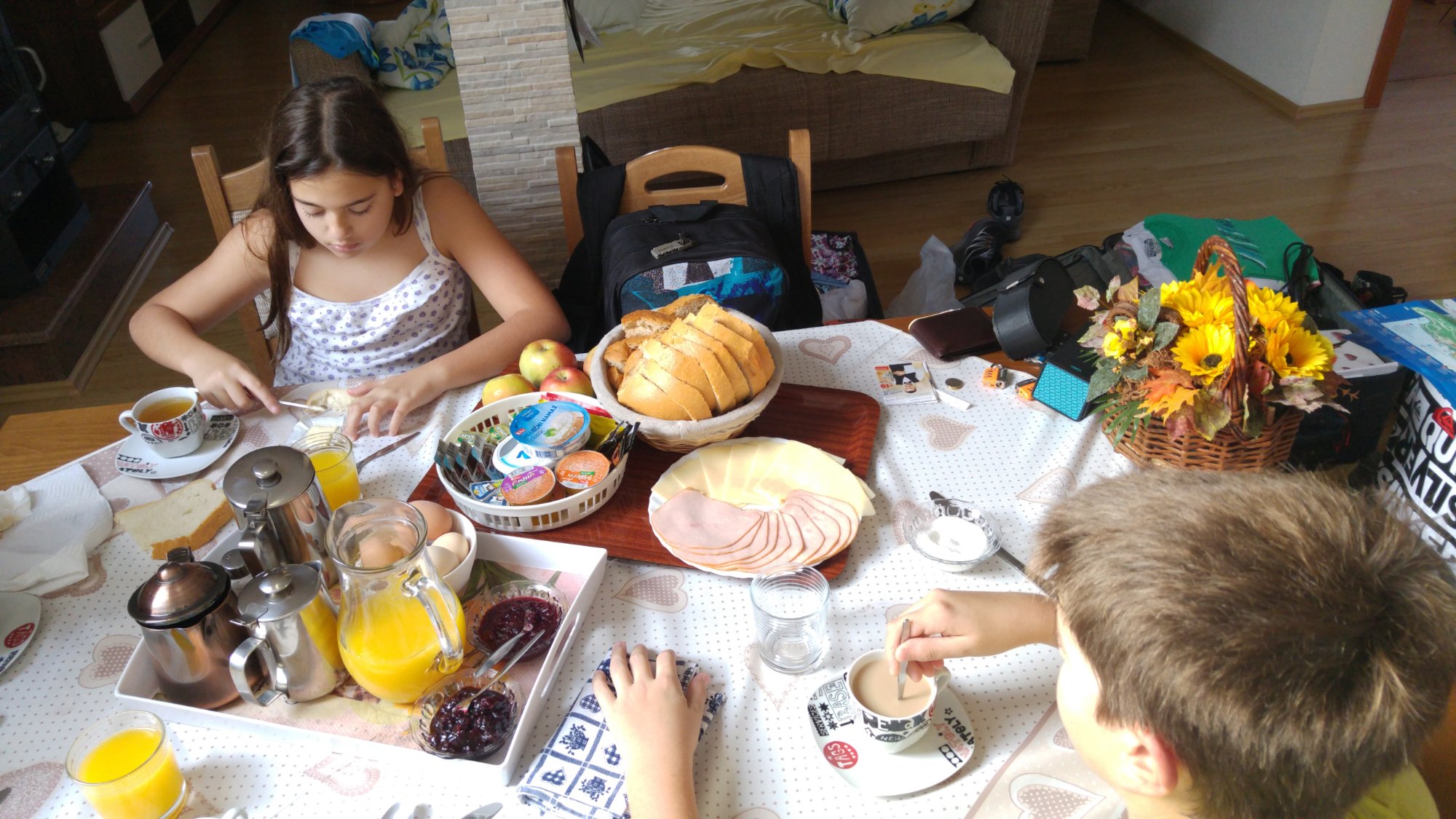 Guest House Mijic-餐饮
