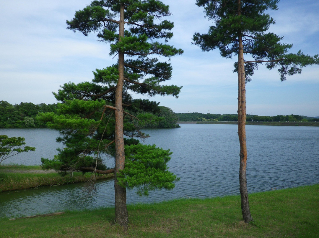 Chiba Kodomo no Kuni Kidsdom-市原市必去景点