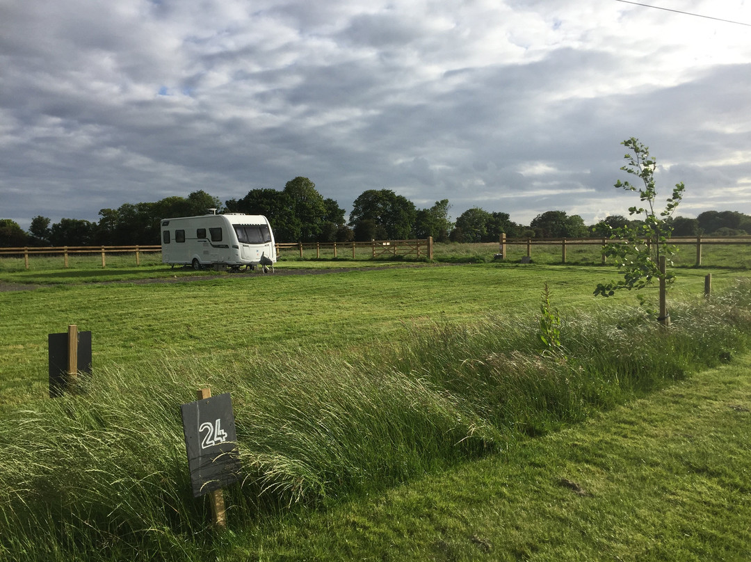 Butt Farm Caravan, Camping & Glamping Site