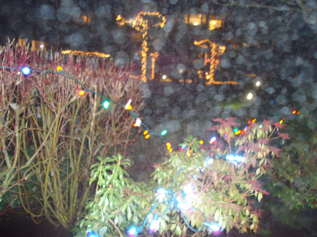 Meadow Gardens Golf Course-匹特草原必去景点