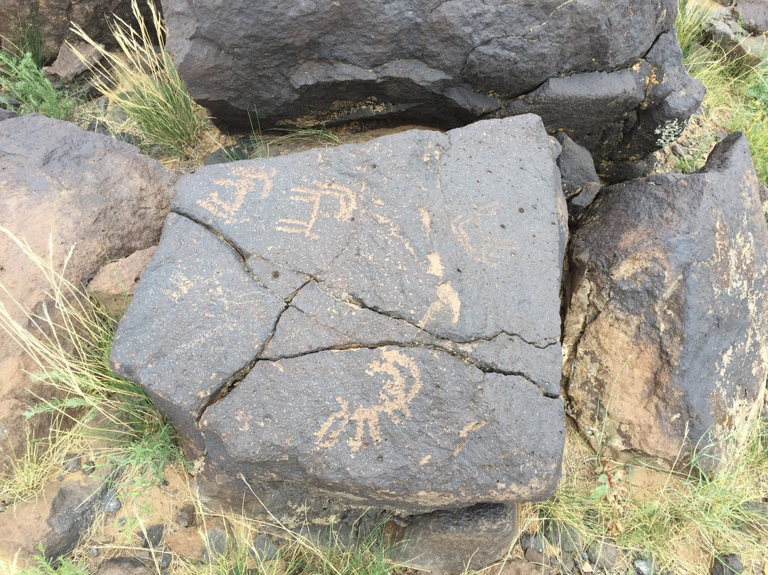 Khavtsgait Petroglyphs-Gobi Gurvansaikhan National Park必去景点