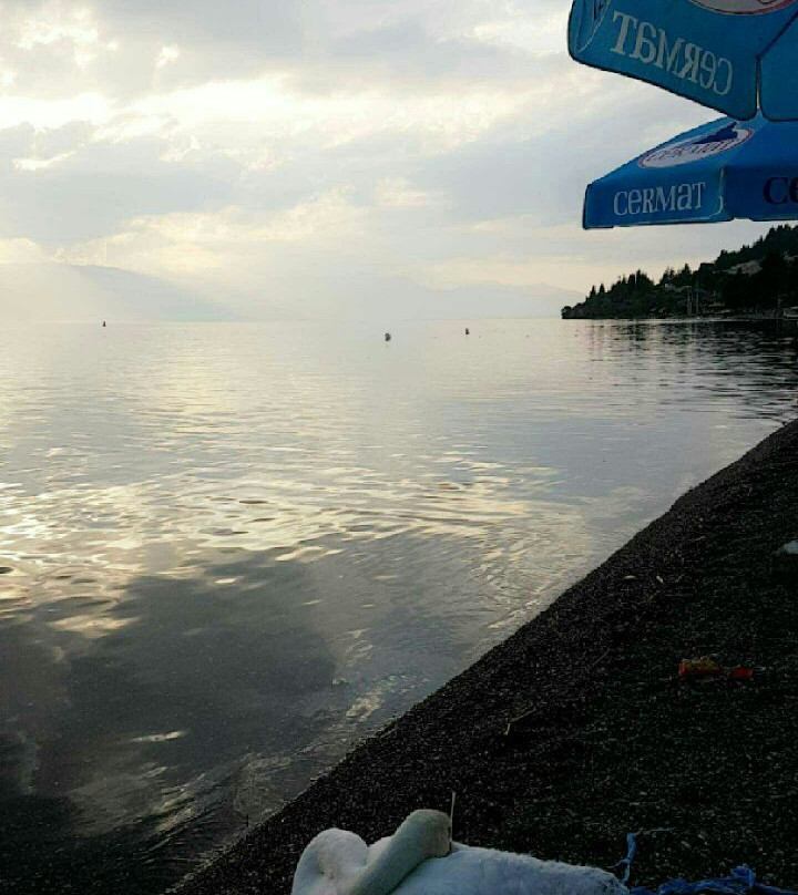 Hotel Holiday-M主图