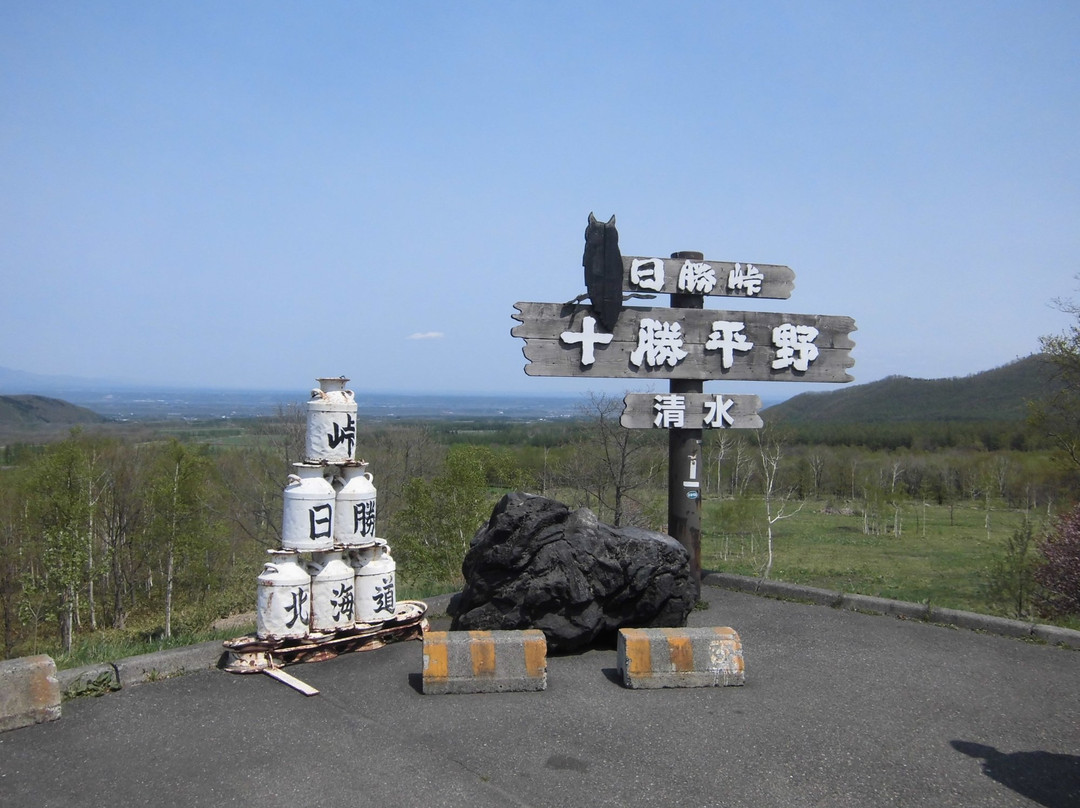 Nishotoge Observatory-清水町必去景点