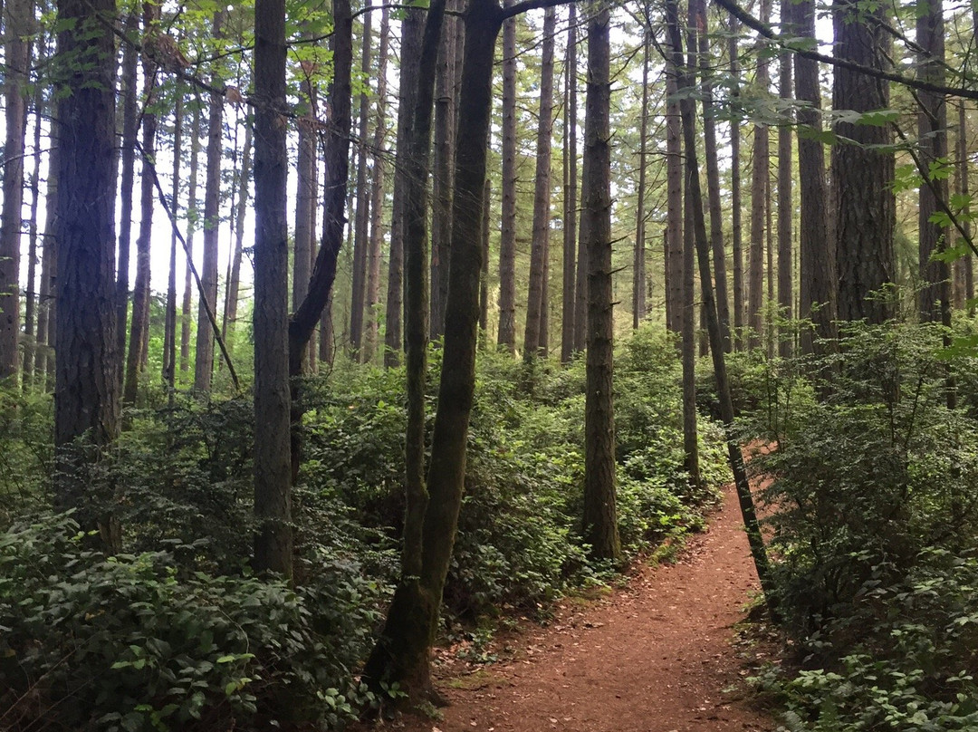 McCormick Forest-吉格港必去景点