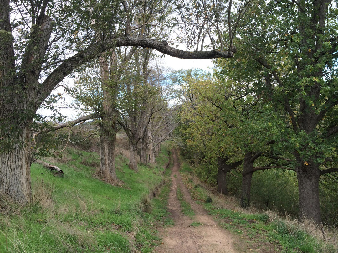 Gisborne旅游攻略图片