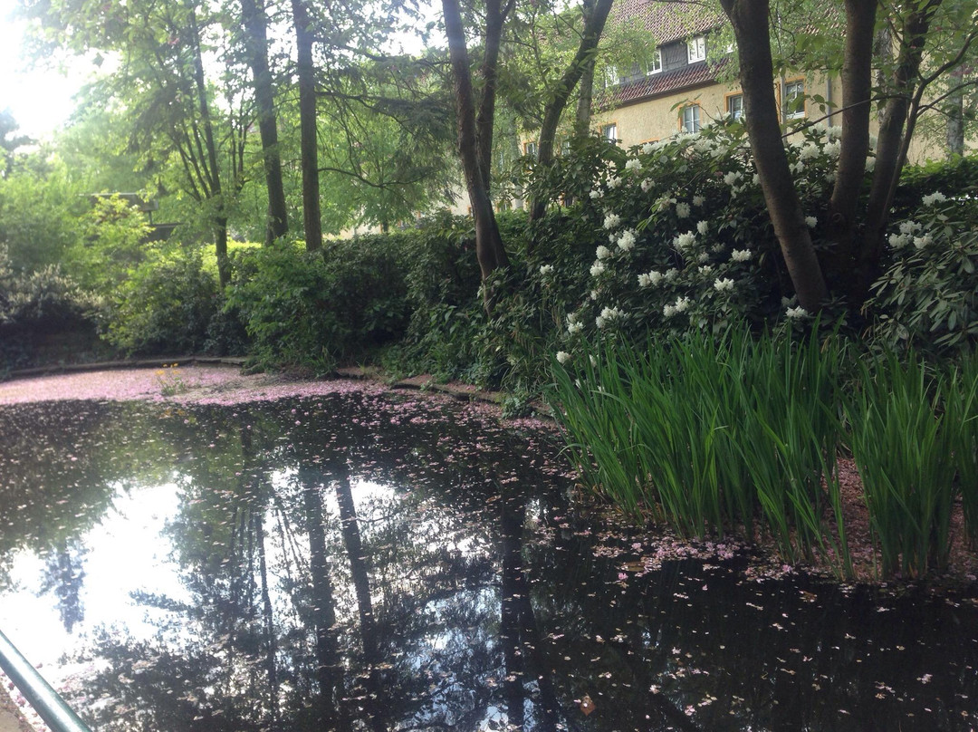 Botanischer Garten景点图片