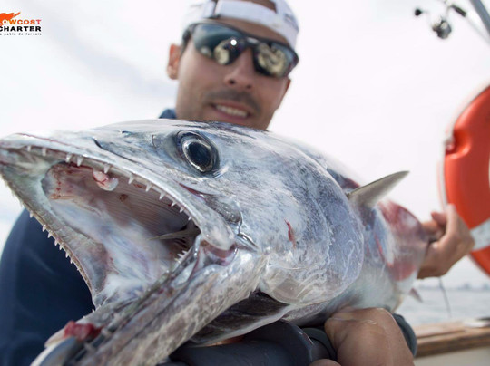 Low Cost Charter-La Pobla de Farnals必去景点