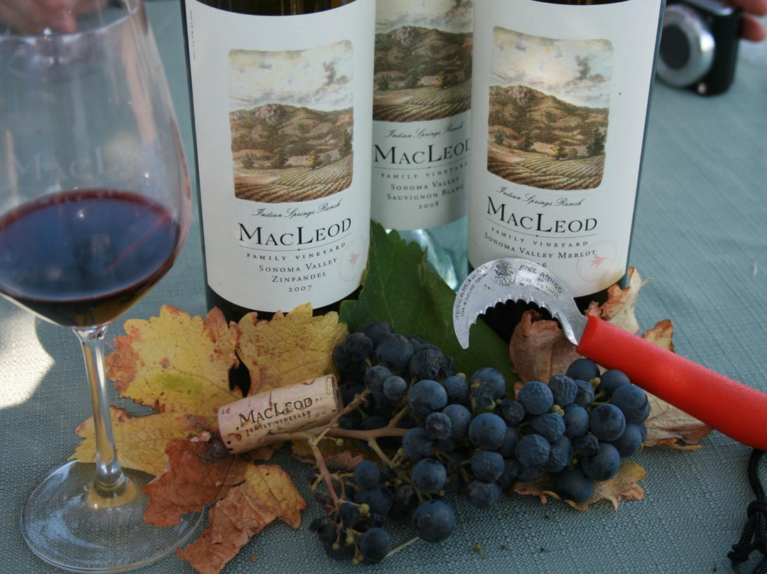 MacLeod Family Vineyard景点图片